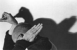 O Pato Duana, 1989